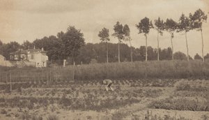 Párizs külvárosában alkotó: Alfred Stieglitz