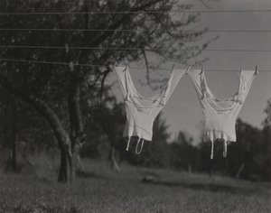  alkotó: Alfred Stieglitz