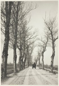 novemberi napok alkotó: Alfred Stieglitz