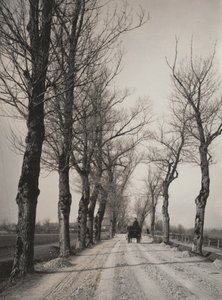 Novemberi napok alkotó: Alfred Stieglitz