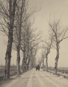 Novemberi napok alkotó: Alfred Stieglitz