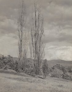  alkotó: Alfred Stieglitz