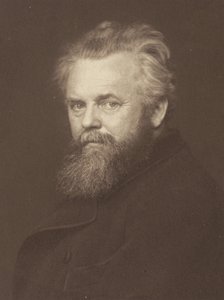 Vogel professzor alkotó: Alfred Stieglitz