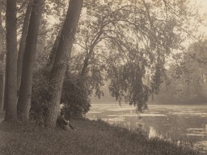 Rajzolás a Bois-ban alkotó: Alfred Stieglitz