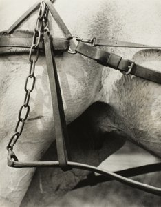 Spirituális Amerika: Az ég dalai A1 alkotó: Alfred Stieglitz