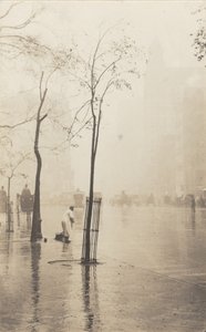 Utcaseprő és a kis fa alkotó: Alfred Stieglitz