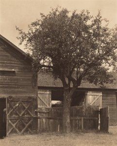 A pajta alkotó: Alfred Stieglitz
