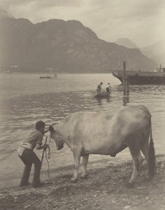 A kényszerű fürdő alkotó: Alfred Stieglitz