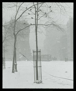 Fa hóban, New York City alkotó: Alfred Stieglitz