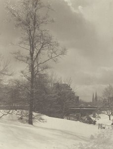  alkotó: Alfred Stieglitz