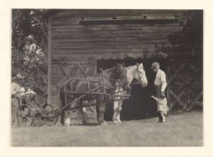  alkotó: Alfred Stieglitz