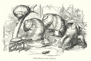  alkotó: Alfred Walter (after) Bayes