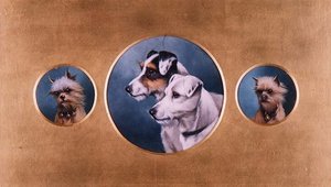 Fox terrier és Yorkshire terrier alkotó: Alfred Wheeler