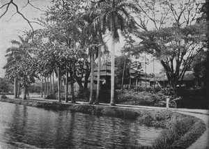 Kandy – A tó festői sarka, 1890, 1910 alkotó: Alfred William Amandus Plate