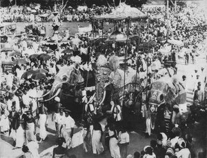 Szent elefánt a Perahera körmenetben, Kandy, Ceylon, 1890, 1910 alkotó: Alfred William Amandus Plate