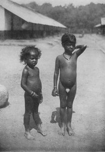 Tamil birtok gyermekei, 1890, 1910