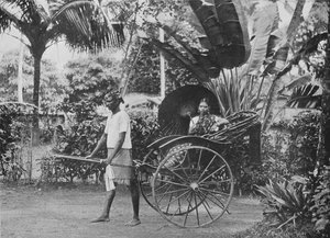 Tamil hölgy riksában, 1890, 1910
