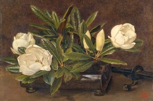 „Magnolias”, 1867-1920