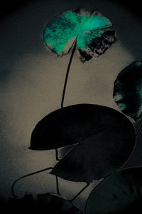 Emerald Spring, a Spring, 2020 sorozatból (kézzel átfestett fotó) alkotó: Alice Gur-Arie