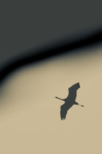 Into the Void, 2016 (fotó)