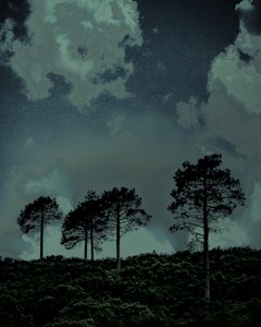 Last Light, 2018 (kézzel átfestett fotó)