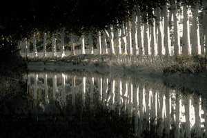 Rendering, 2018 (kézzel átfestett fotó)