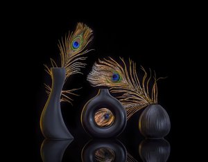 Elegáns páva csendélet alkotó: Alice Sheng