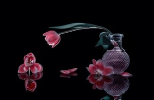 Elegáns rózsaszín tulipánok