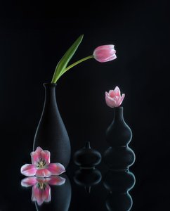 Elegáns tulipán-tükröződések alkotó: Alice Sheng