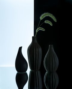 Elegáns vázák fűvel alkotó: Alice Sheng