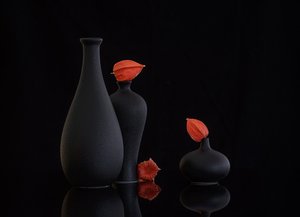 Narancssárga physalis csendélet alkotó: Alice Sheng