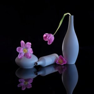 Tükröződő lila tulipánok alkotó: Alice Sheng