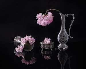 Ezüst és Sakura alkotó: Alice Sheng