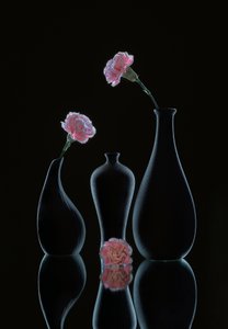 Elegáns virágos csendélet alkotó: Alice Sheng