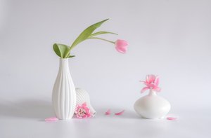 Lágy rózsaszín tulipánkompozíció alkotó: Alice Sheng
