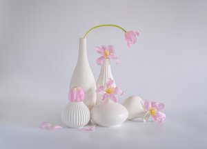 Halványrózsaszín tulipános csendélet alkotó: Alice Sheng