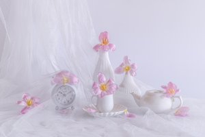 Halványrózsaszín tulipánok