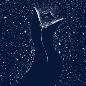 Kozmikus mantaraya alkotó: Alirıza ÇAKIR