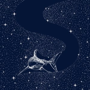 A Nagy Fehér Galaxis alkotó: Alirıza ÇAKIR