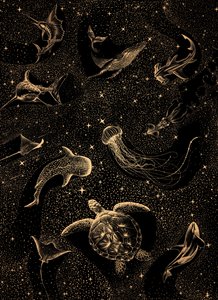 A tengeri élet galaxis alkotó: Alirıza ÇAKIR