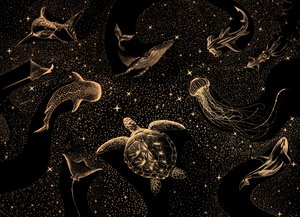 Misztikus Tengeri Galaxis alkotó: Alirıza ÇAKIR