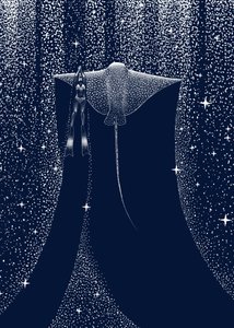 A Starlit Ray kísérője alkotó: Alirıza ÇAKIR