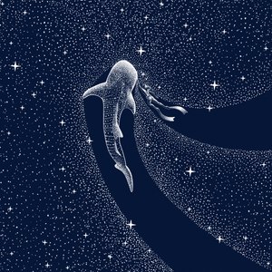 Utazás a bálnacápák galaxisába alkotó: Alirıza ÇAKIR