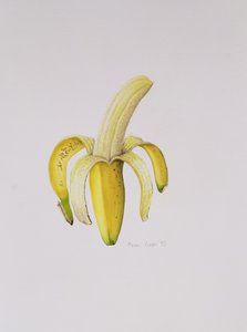 Félig hámozott banán, 1997