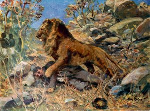 David Livingstone, Livingstone és az oroszlán (színes litó)