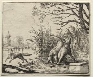 Reynard, a róka: A farkas új vádja. alkotó: Allart van Everdingen