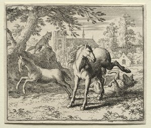 Reynard, a róka: Reynard becsapja a farkast.