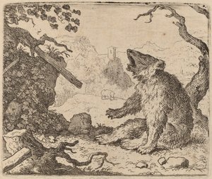 A Hírvivőnek küldött medve, valószínűleg c. 16451656.