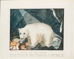 A fehér medve, 1844