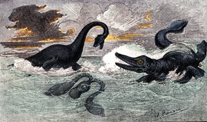Lias-korszak (alsó jura): plesioszaurusz és ichtioszaurusz, természeti alkotás és élőlények (Jules Renegade) A. Demarle rajza. 1885